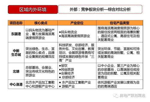策劃 天津東疆港住宅項目前期策劃定位148p